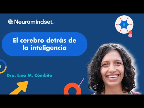 El cerebro detrás de la inteligencia: por qué las funciones cognitivas importan más de lo que crees