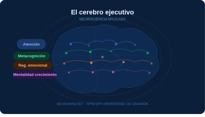 Ilustración del cerebro ejecutivo con las cuatro capas del modelo A.M.R.M. —atención, metacognición, regulación emocional y mentalidad de crecimiento— representadas en colores diferenciados sobre un fondo azul oscuro. Neuromindset, Spin-Off Universidad de Granada.