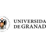 Banner-neuromindset-spin-off-universidad-granada